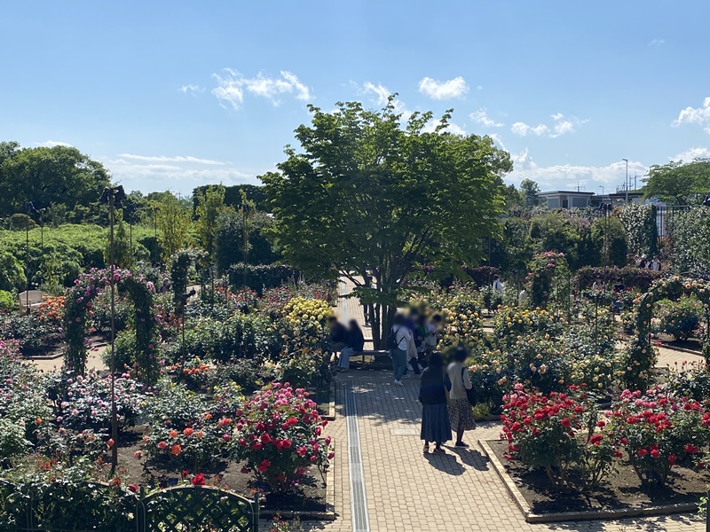 足利フラワーパーク園内