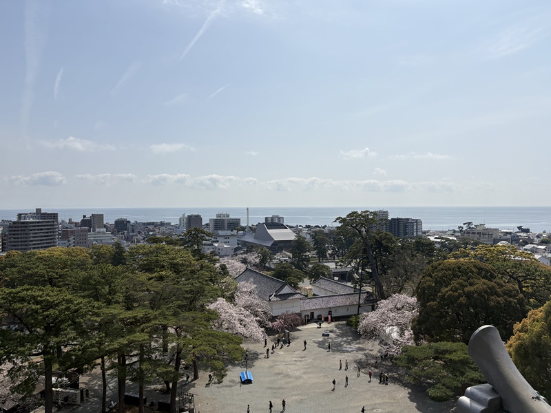 小田原城天守閣景観
