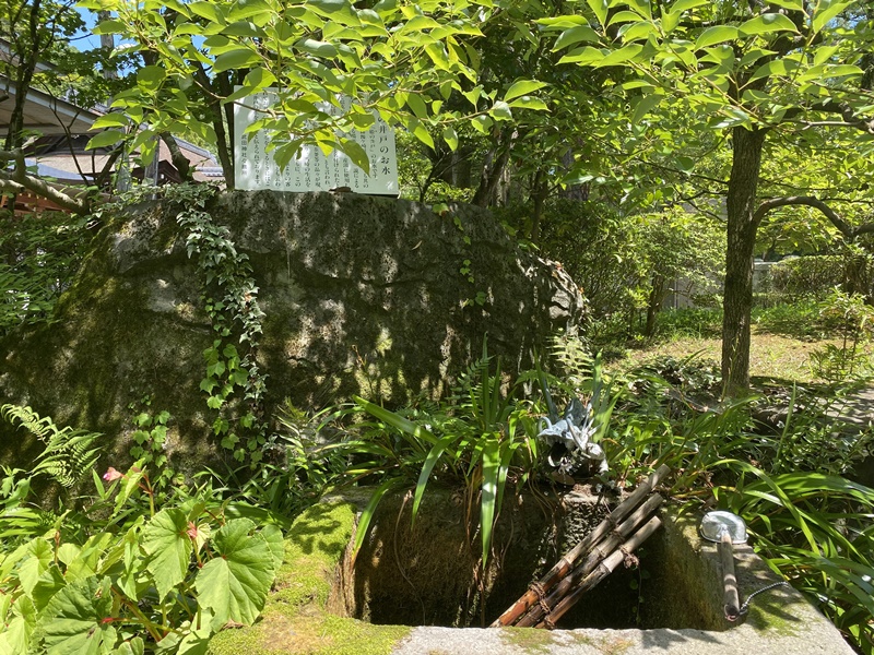 武田神社姫の井戸