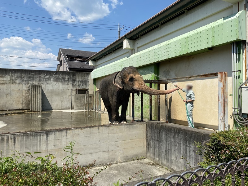 遊亀公園付属動物園3