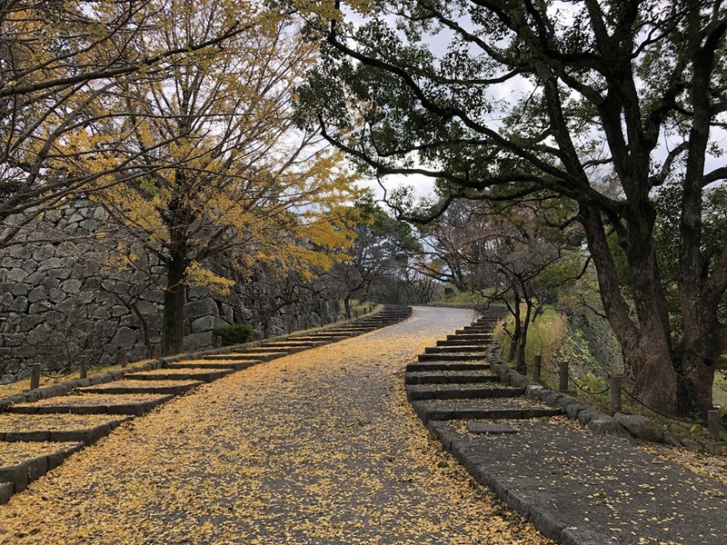 福岡城城内2