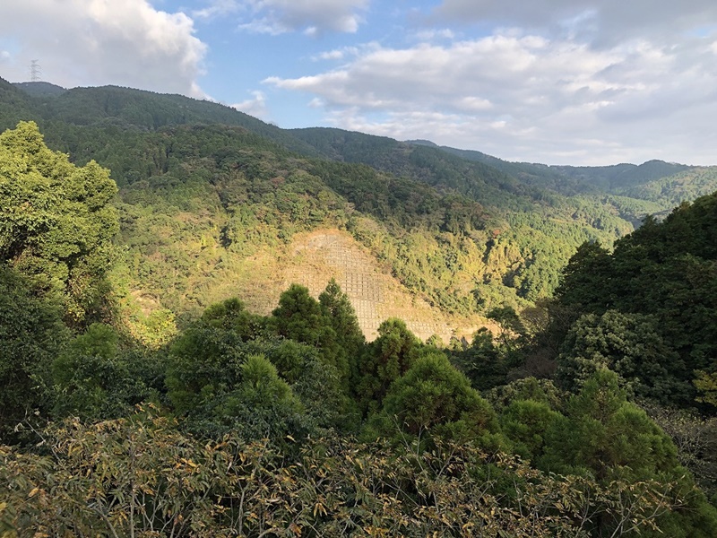 道の駅・吉野ケ里2