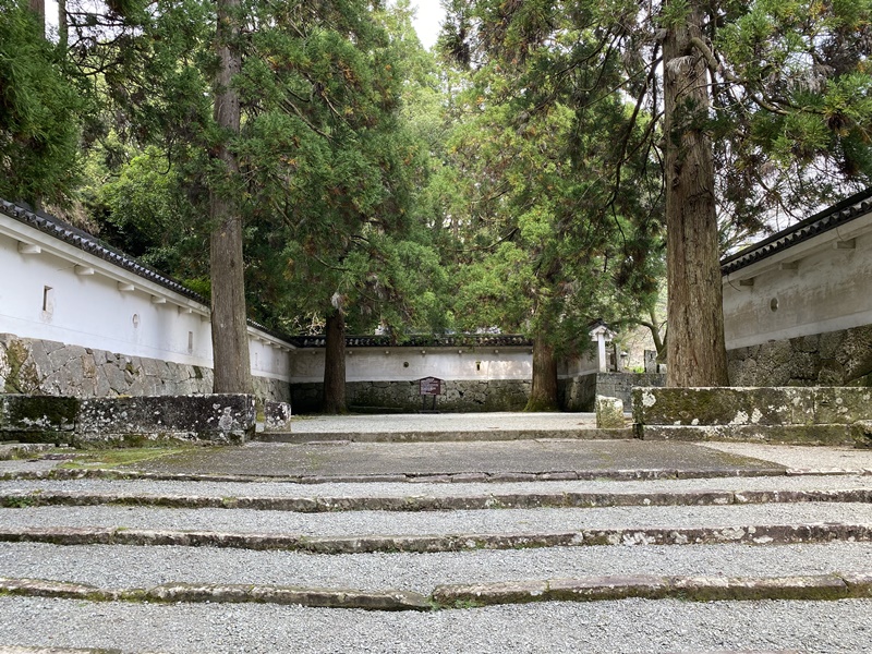 飫肥城しあわせ杉