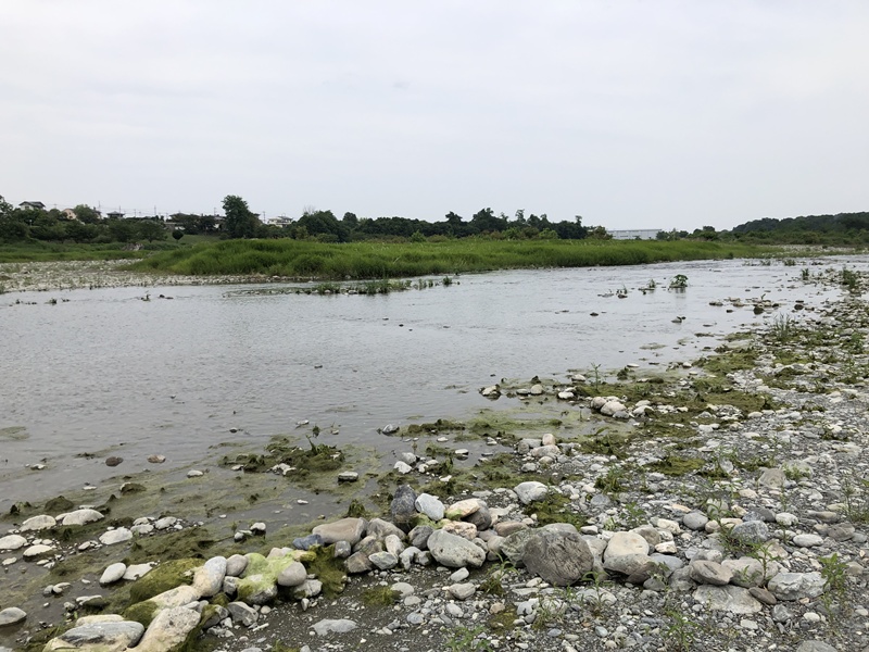 かわせみ河原01