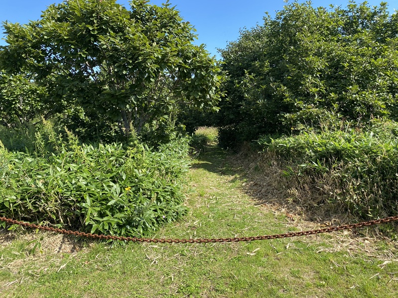 根室半島チャシ跡群03