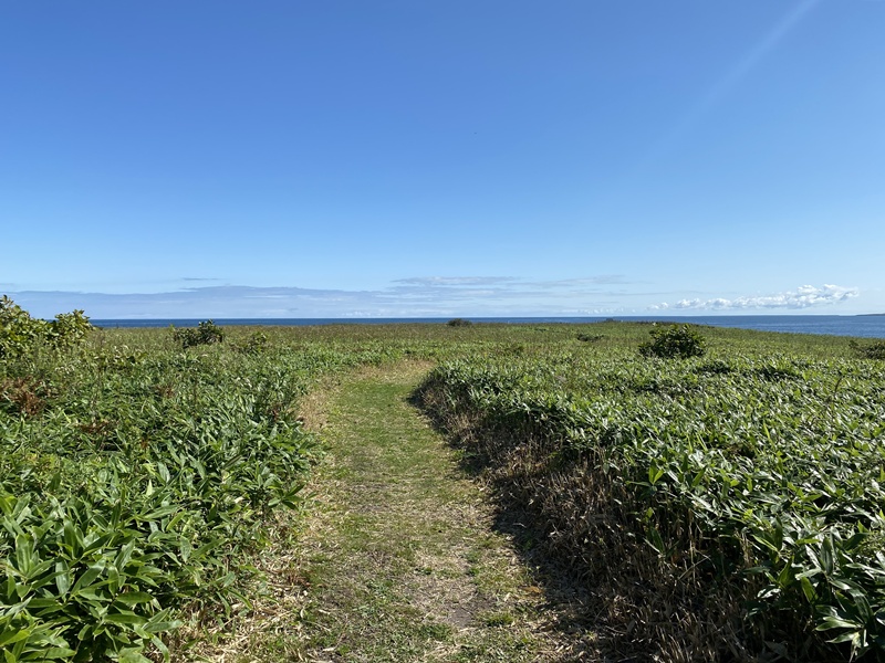 根室半島チャシ跡群04